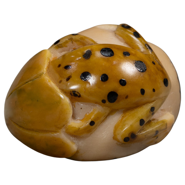 Gold And Black  Poison Dart Frog Tagua Carving