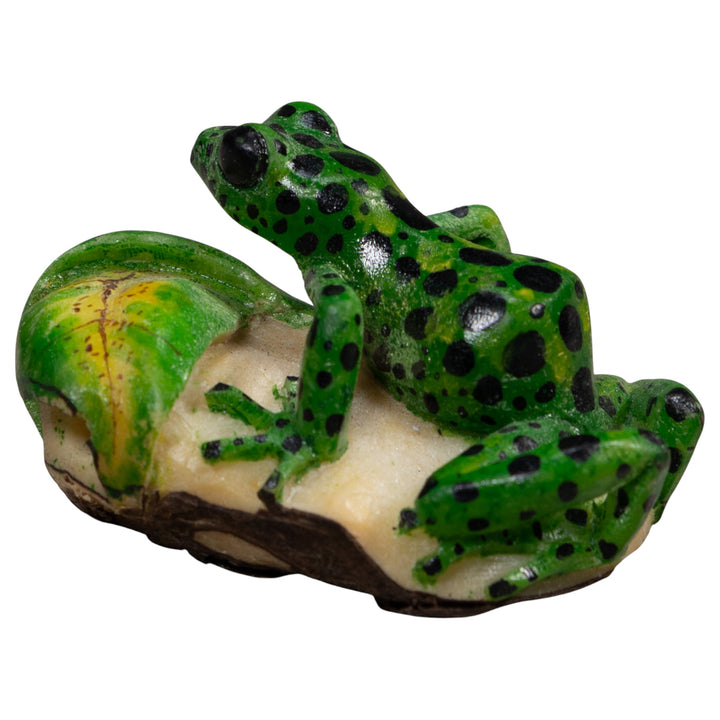 Green And Black Poison Dart Frog Tagua Carving