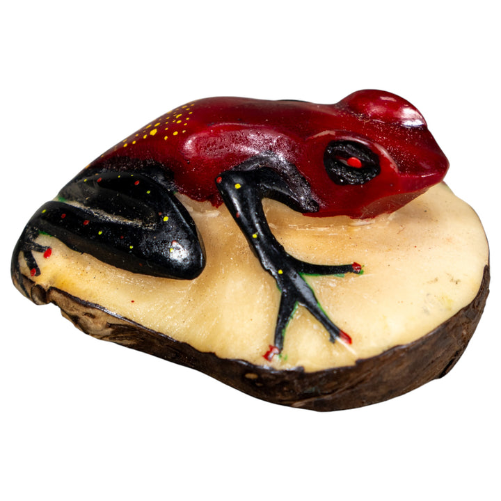 Black And Red Poison Dart Frog Tagua Carving