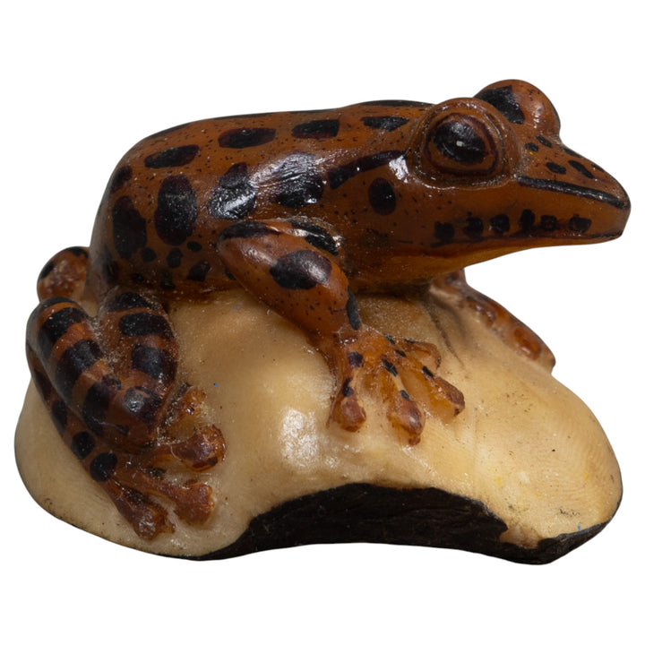 Black And Brown Toad Tagua Carving