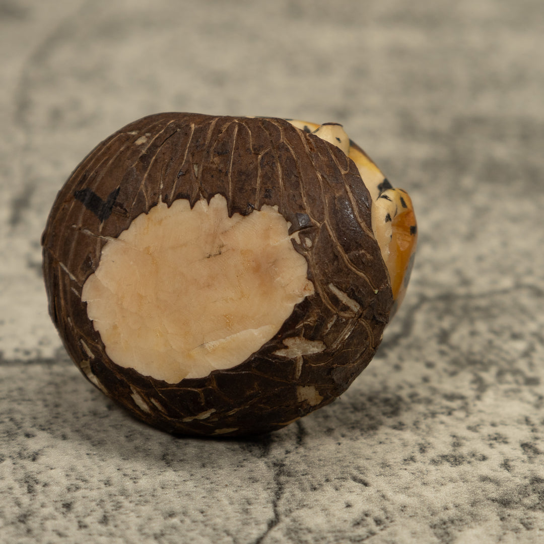 Jaguar Cat Tagua Carving