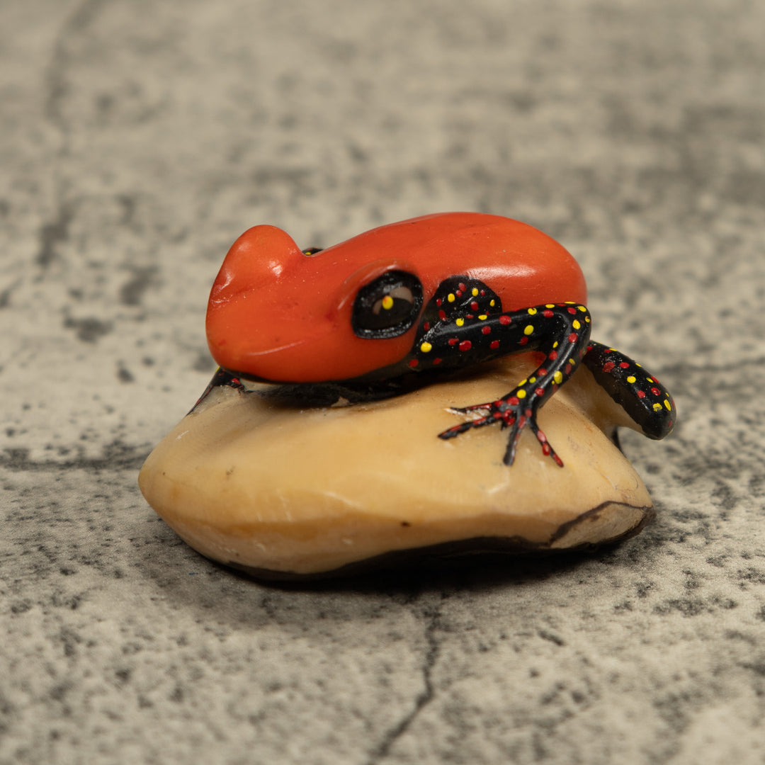 Vintage Red And Black Poison Dart Frog Tagua Carving