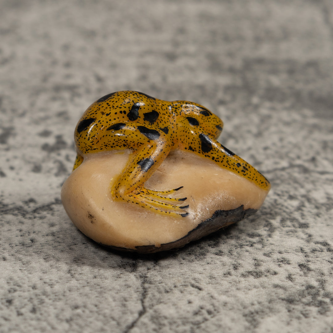 Vintage Golden Frog Tagua Carving
