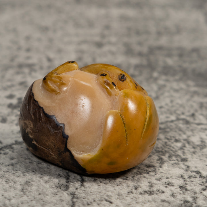 Gold And Black  Poison Dart Frog Tagua Carving