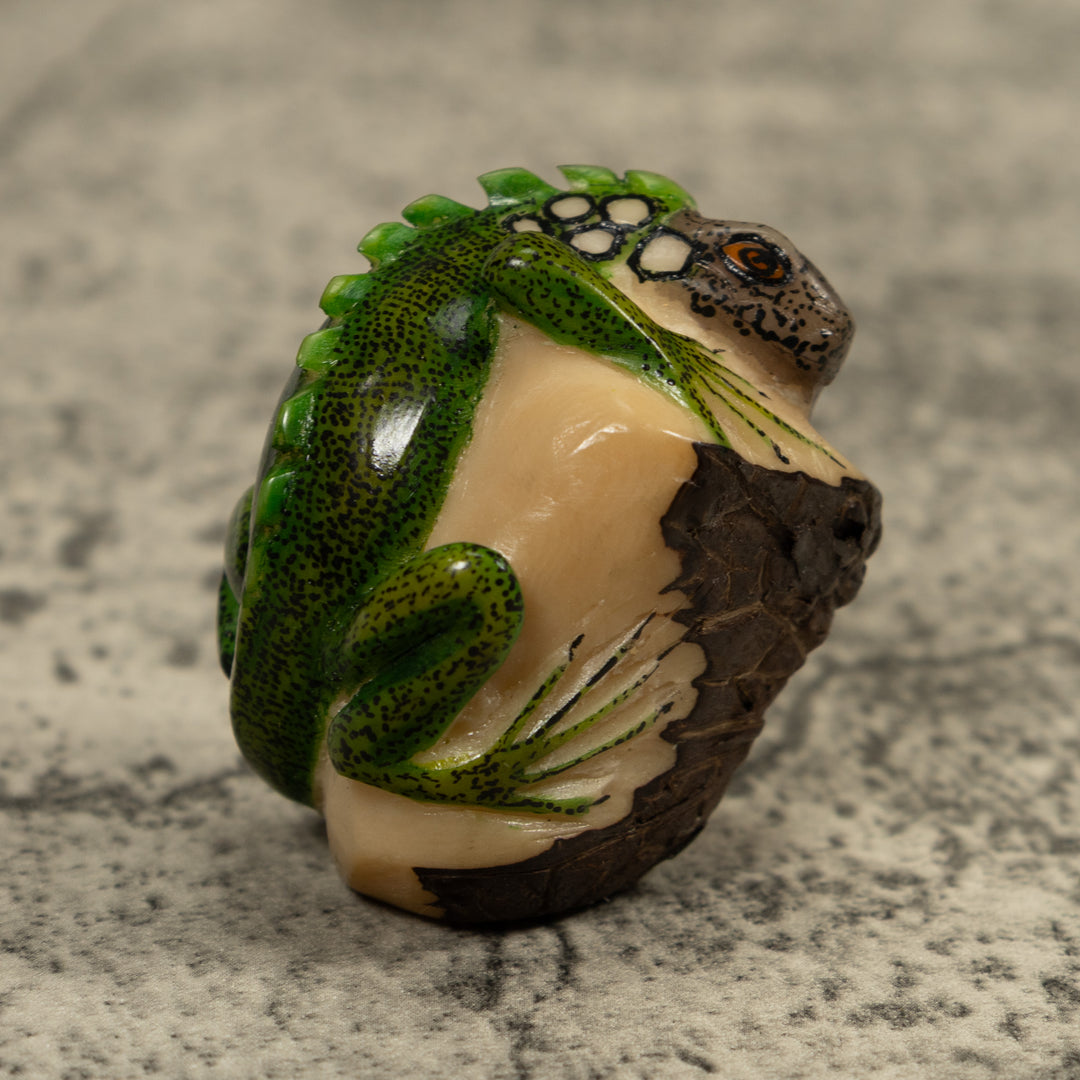 Iguana Lizard Reptile Tagua Carving