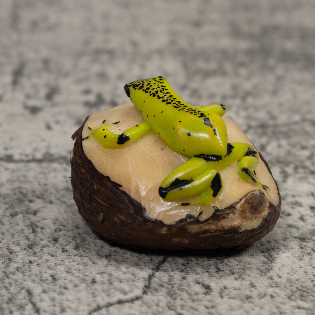 Poison Dart Frog Tagua Carving