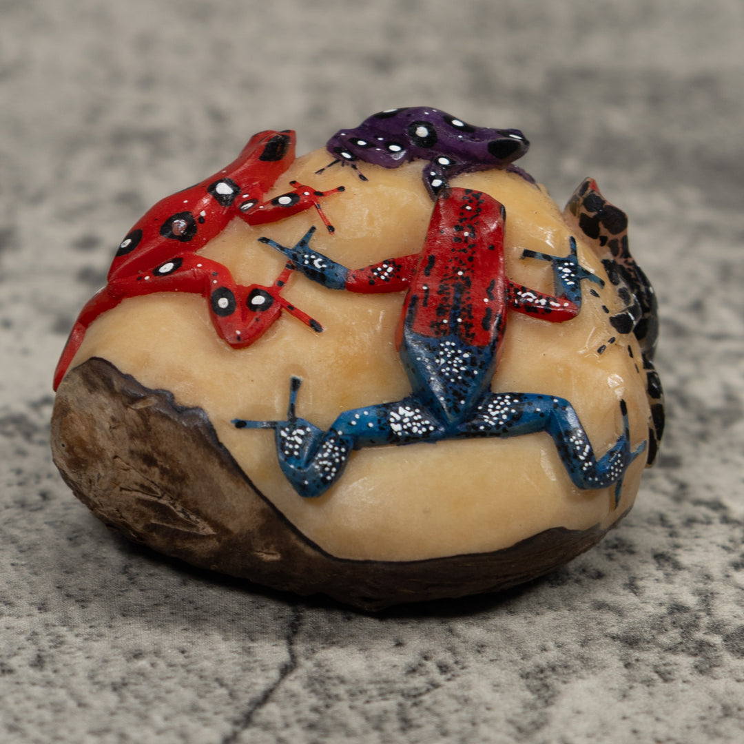 Five Poison Dart Frog Tagua Carving
