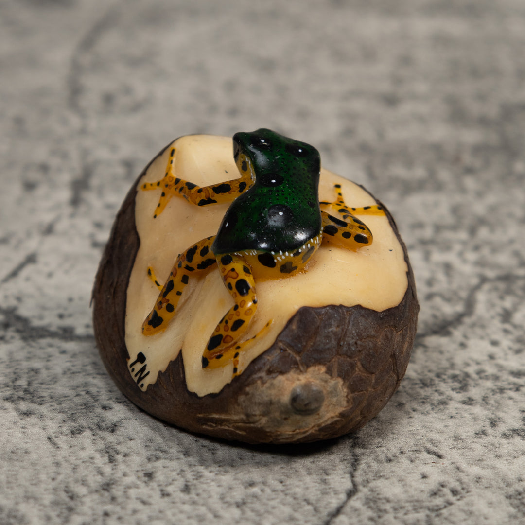 Gold And Black Poison Dart Frog Tagua Carving