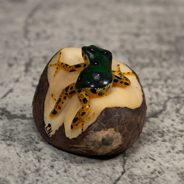 Gold And Black Poison Dart Frog Tagua Carving