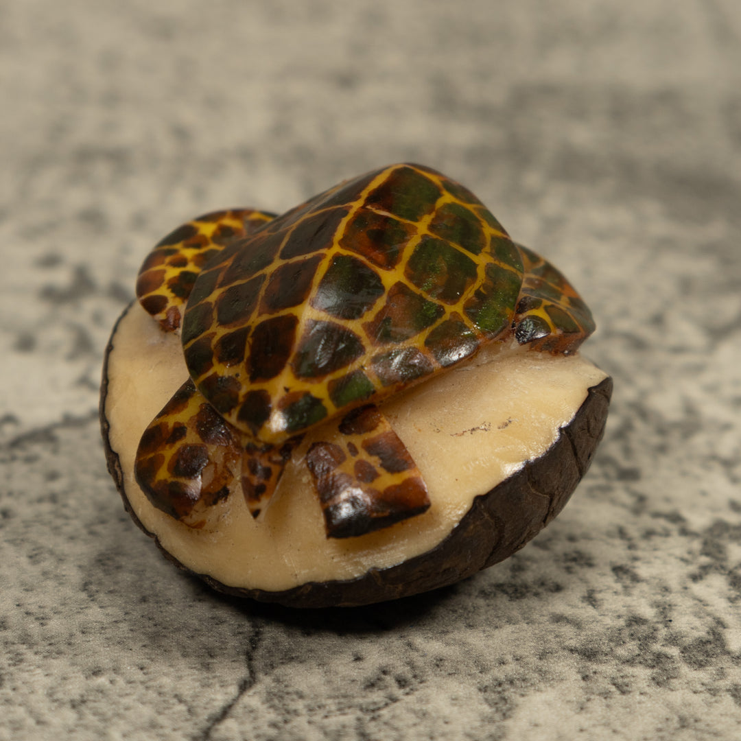 Sea Turtle Tagua Carving