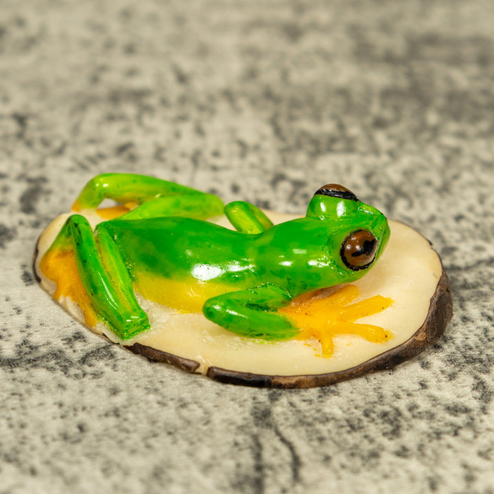 Red-Eye Tree Frog Tagua Carving