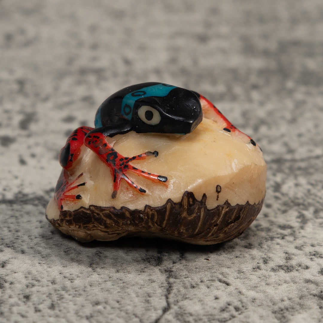 Vintage Black Blue And Red Rainforest Frog Tagua Carving