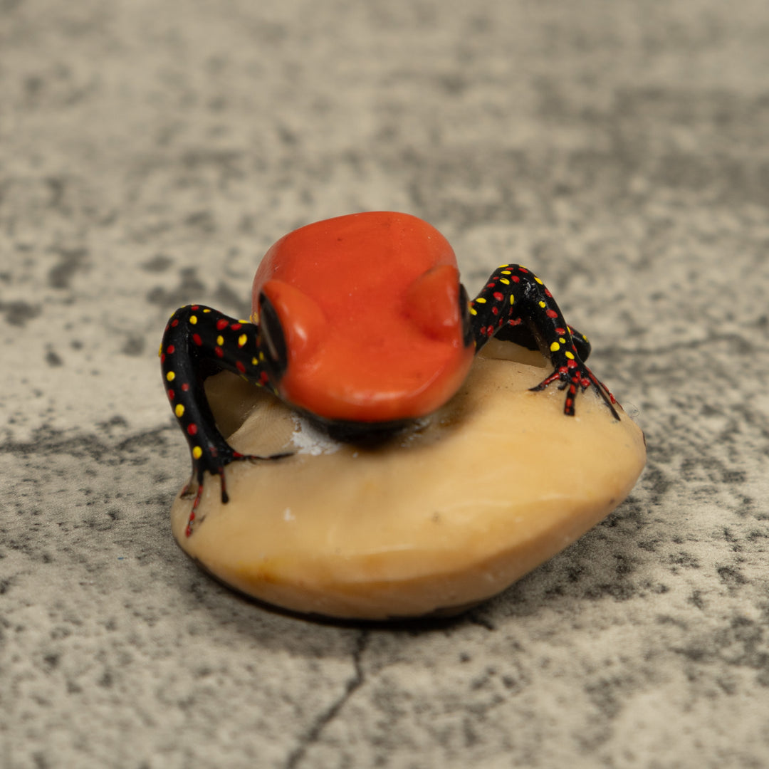 Vintage Red And Black Poison Dart Frog Tagua Carving