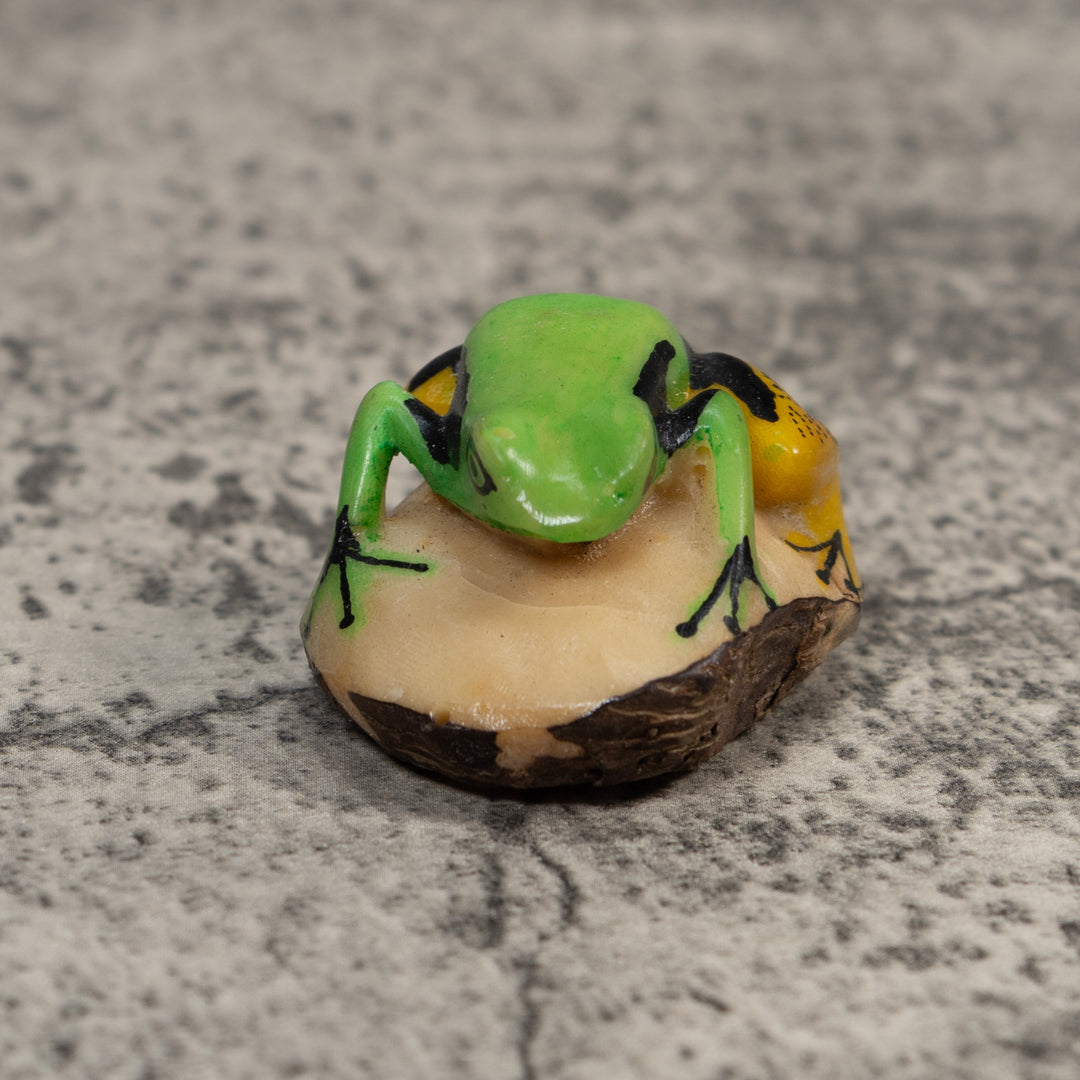 Green Gold And Black Poison Dart Frog Tagua Carving