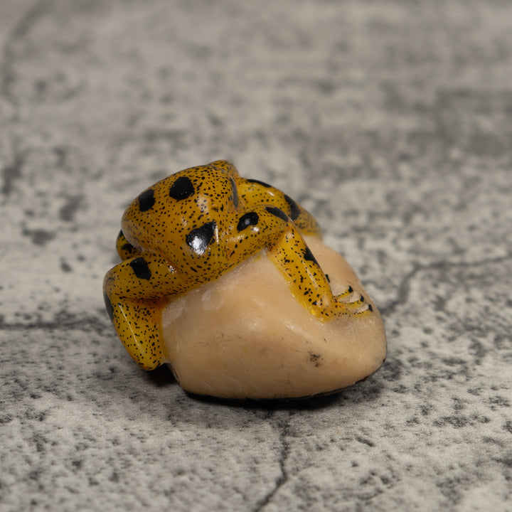 Vintage Golden Frog Tagua Carving