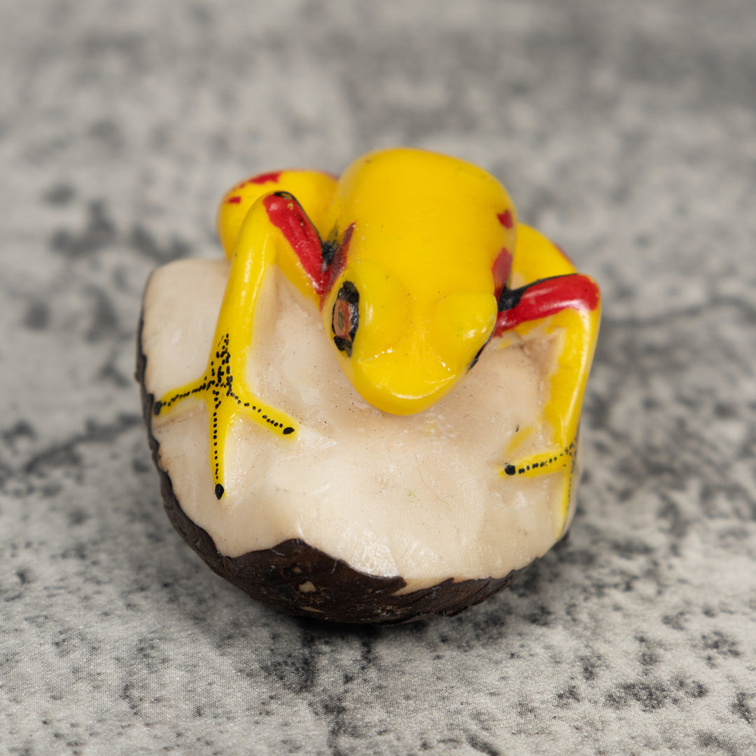 Yellow And Red Poison Dart Frog Tagua Carving