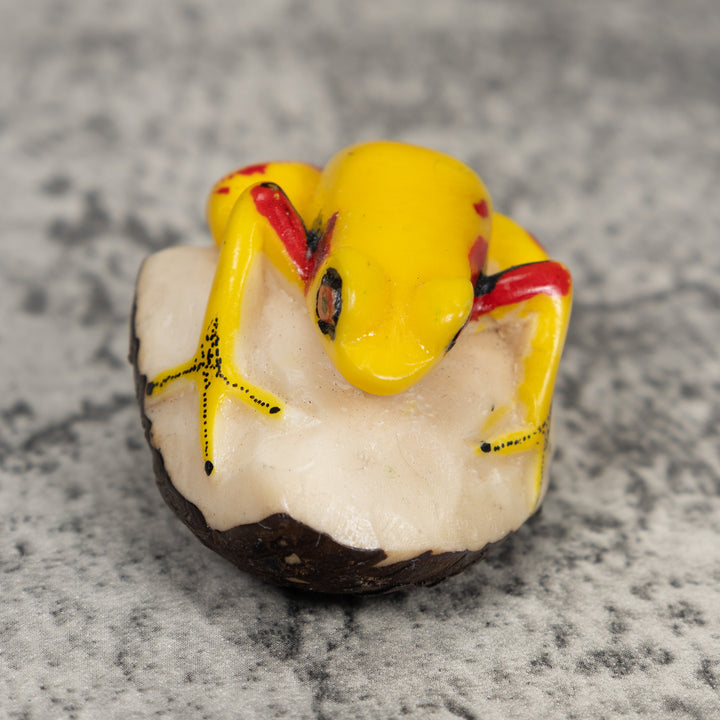 Yellow And Red Poison Dart Frog Tagua Carving