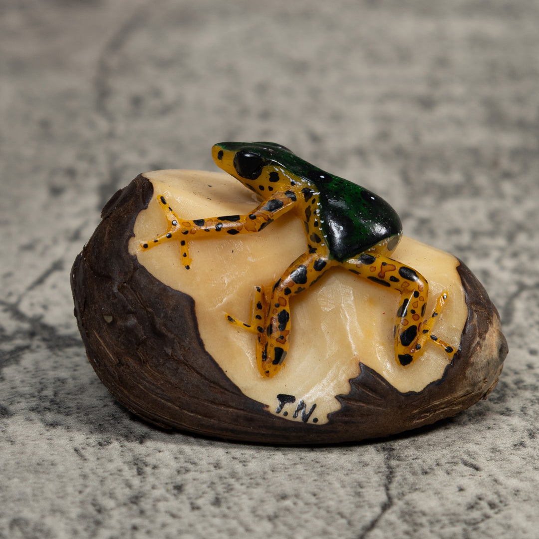 Gold And Black Poison Dart Frog Tagua Carving