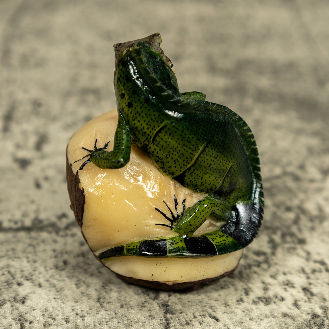 Green Iguana lizard On Pedestal Tagua Carving