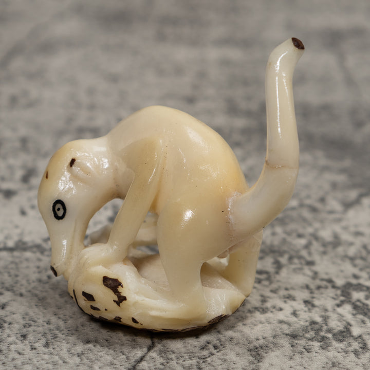 White Natural Coatimundi Eating Yucca Tagua Carving