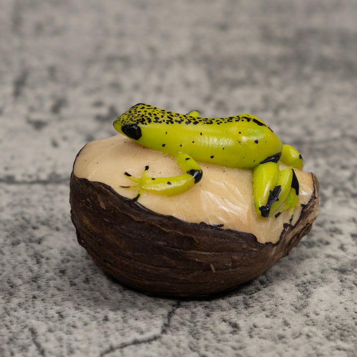 Poison Dart Frog Tagua Carving