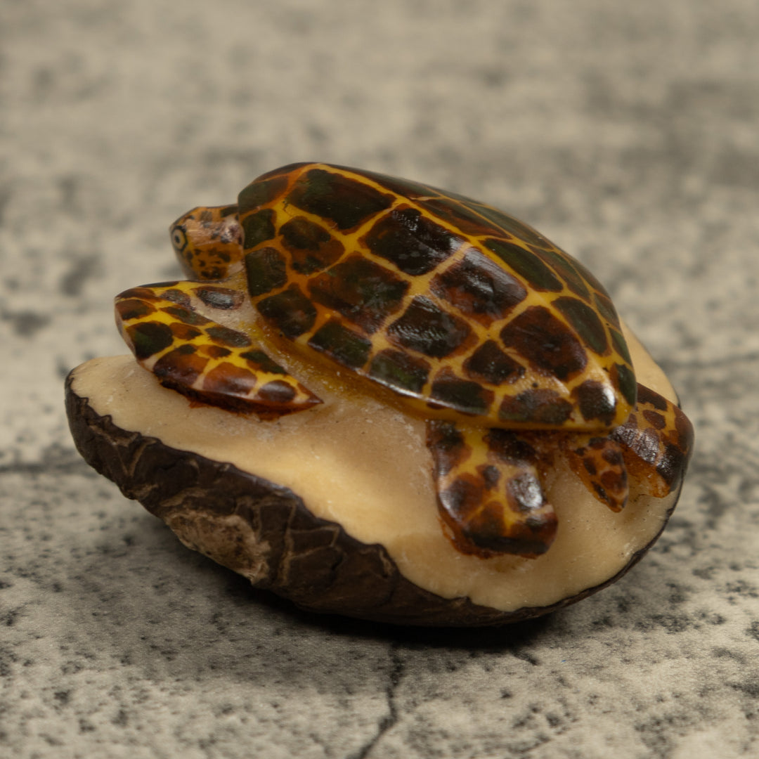 Sea Turtle Tagua Carving