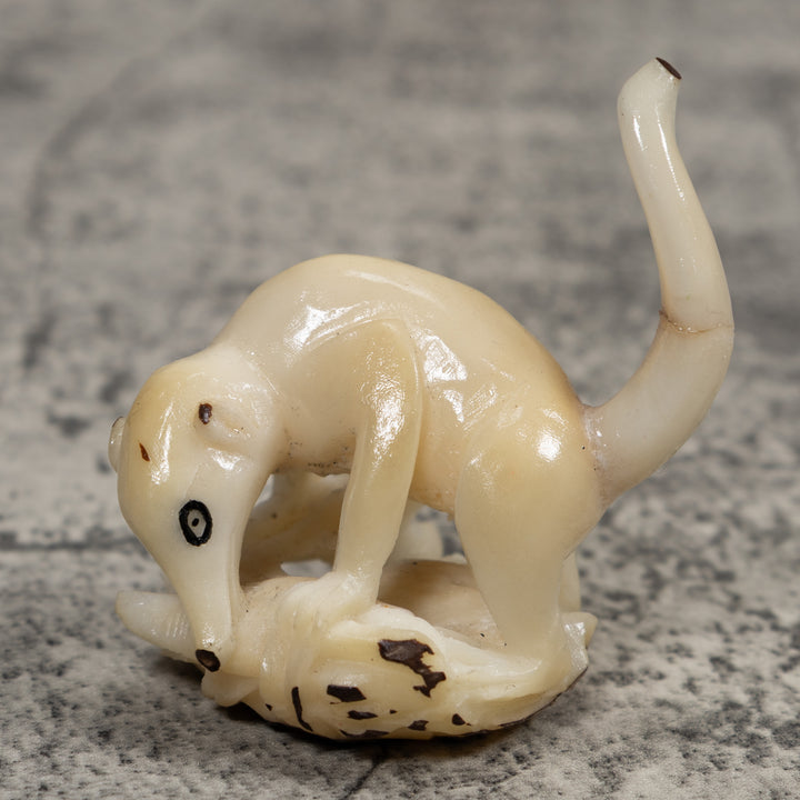 White Natural Coatimundi Eating Yucca Tagua Carving