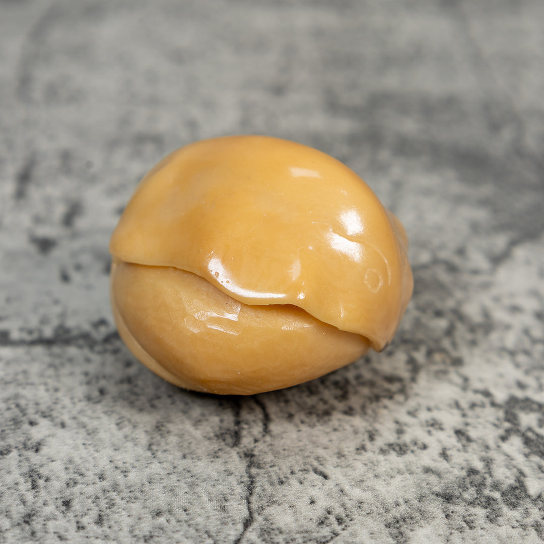 Natural White Sea Stingray Tagua Carving