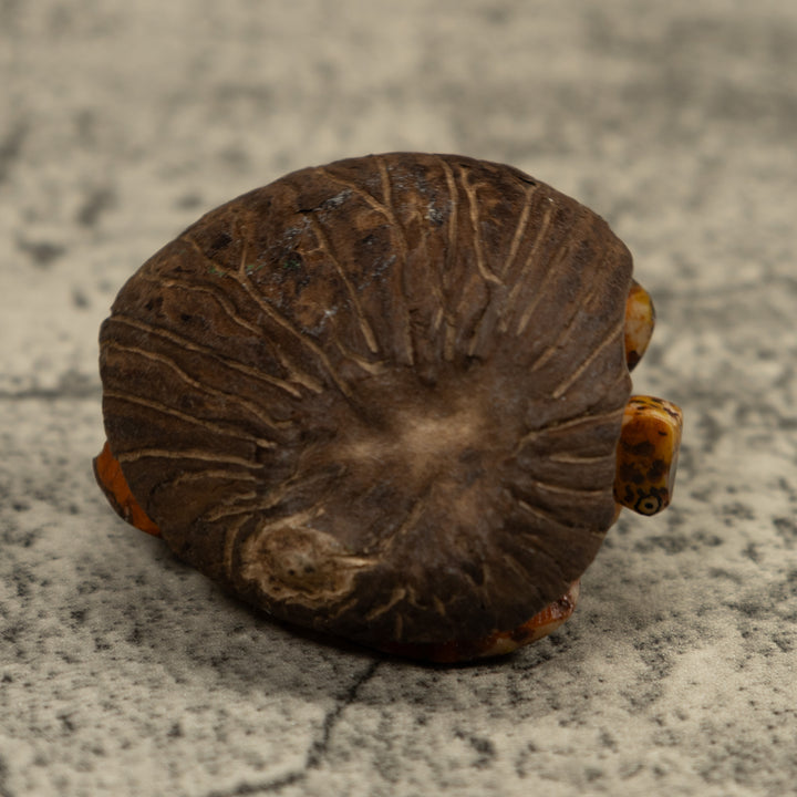 Sea Turtle Tagua Carving