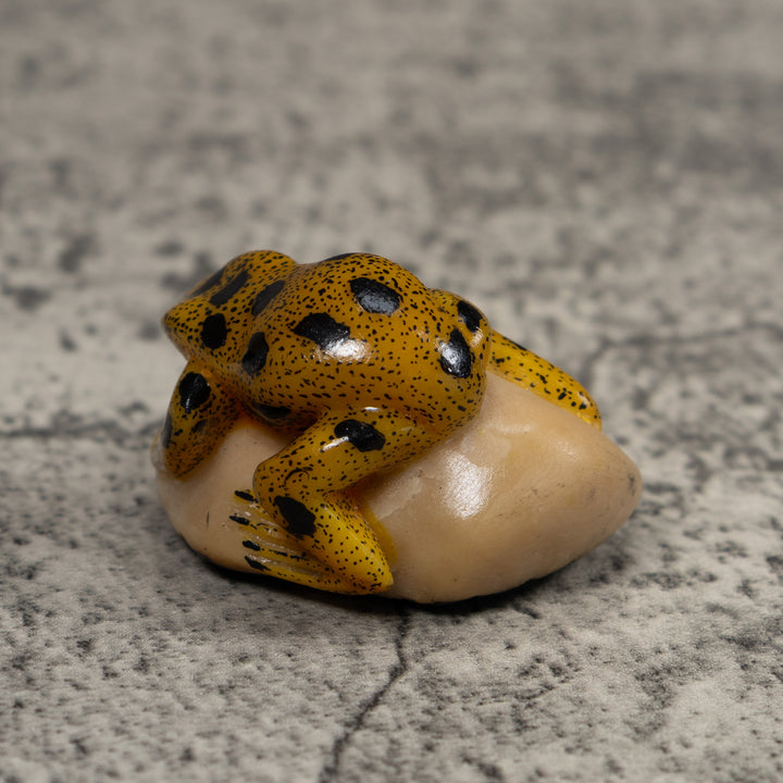 Vintage Golden Frog Tagua Carving