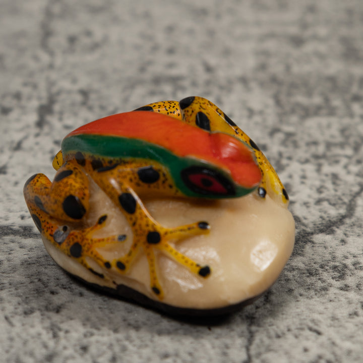 Poison Dart Frog Tagua Carving