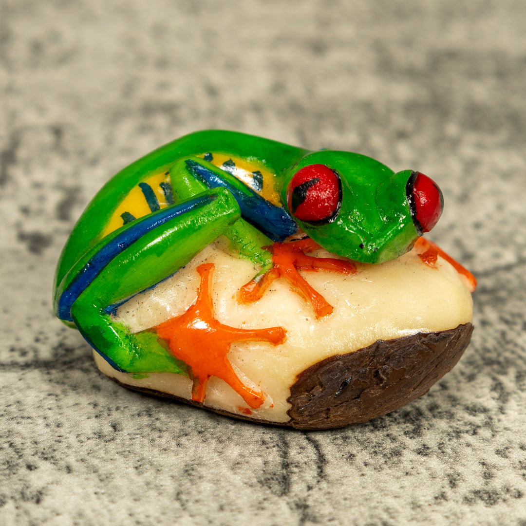 Red Eye Tree Frog Tagua Carving