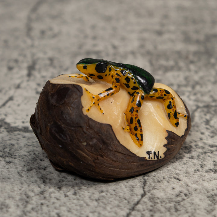 Gold And Black Poison Dart Frog Tagua Carving