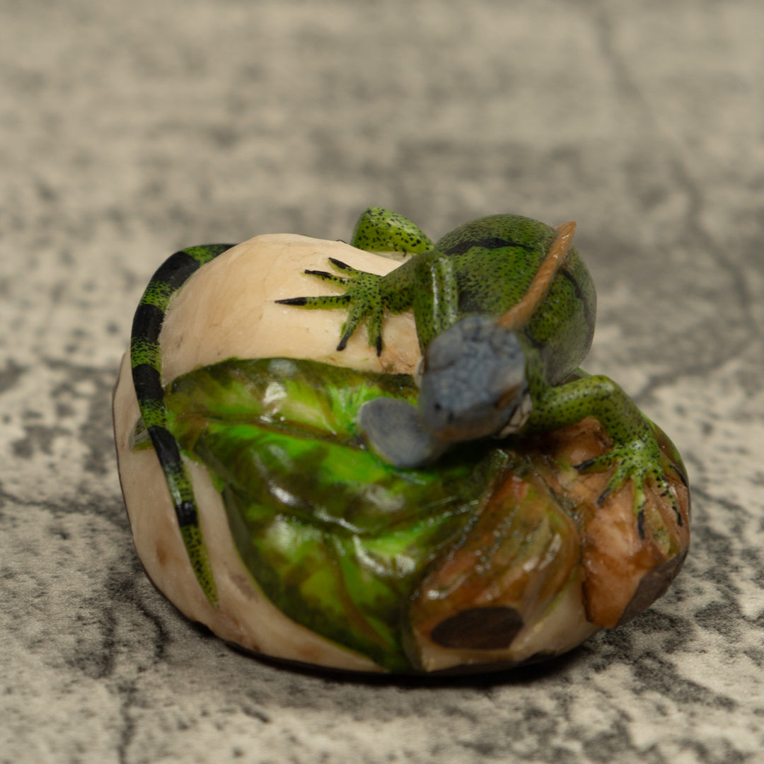 Iguana Lizard Reptile Tagua Carving