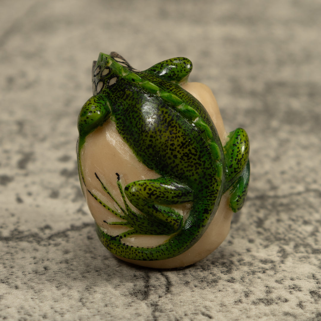 Iguana Lizard Reptile Tagua Carving