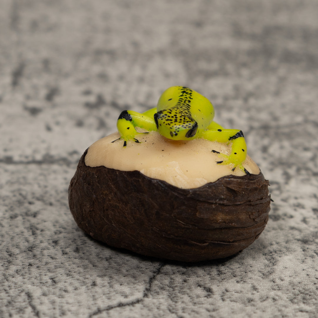 Poison Dart Frog Tagua Carving
