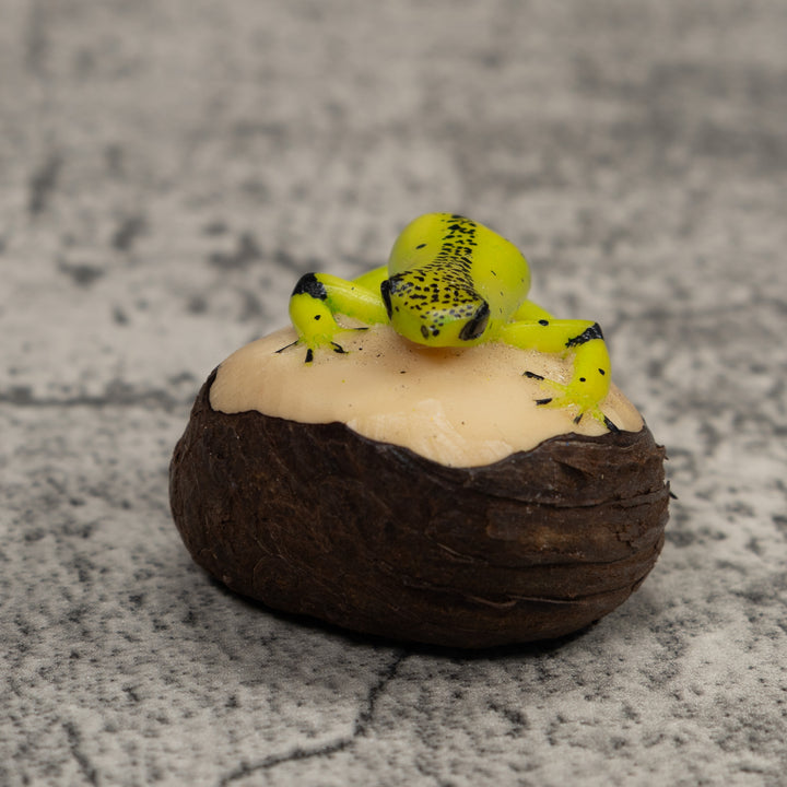 Poison Dart Frog Tagua Carving