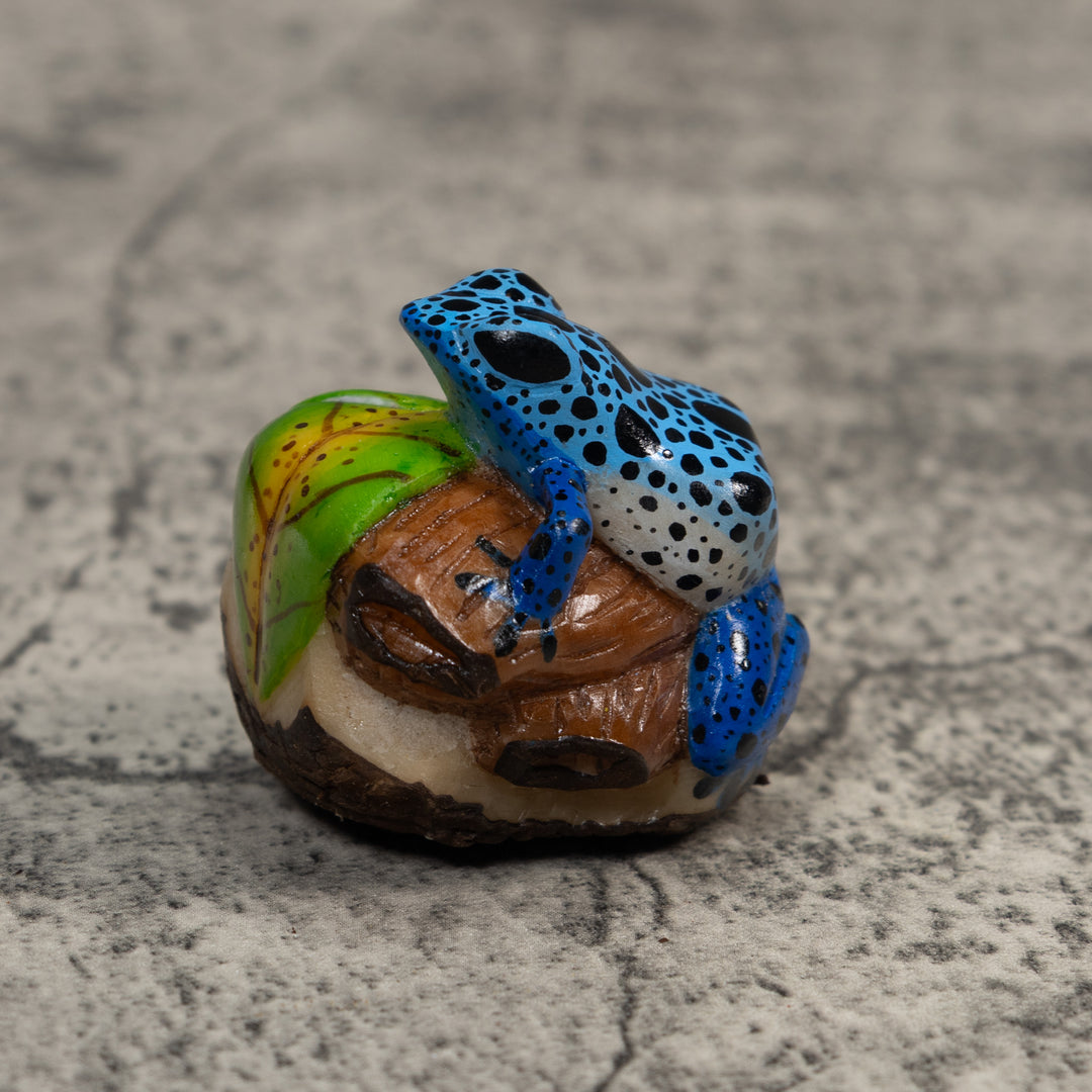 Blue And Black Poison Dart Frog Tagua Carving
