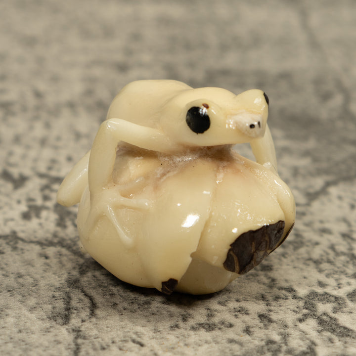 White Natural Frog Tagua Carving