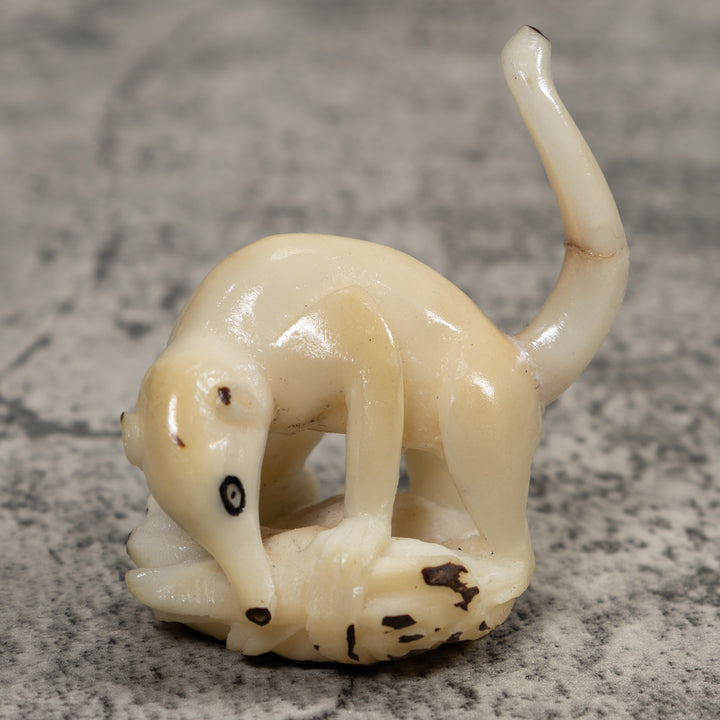 White Natural Coatimundi Eating Yucca Tagua Carving