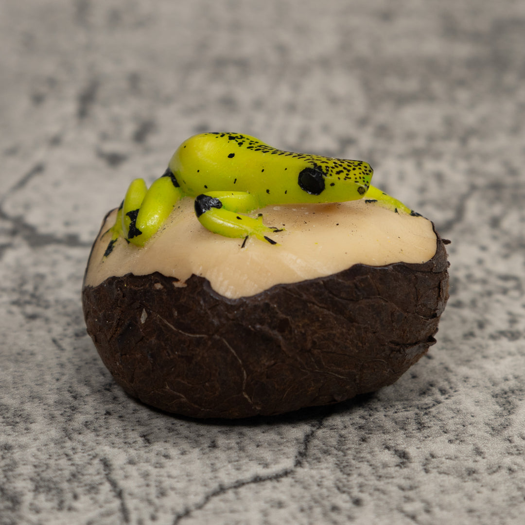 Poison Dart Frog Tagua Carving