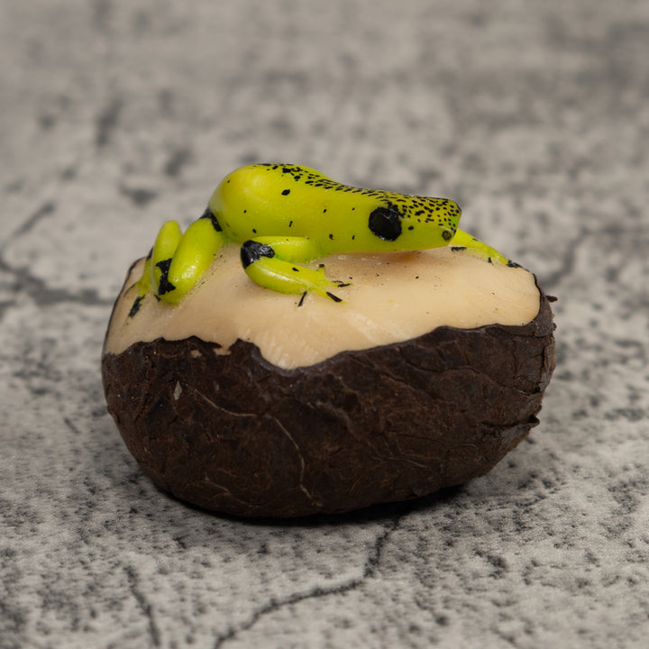 Poison Dart Frog Tagua Carving