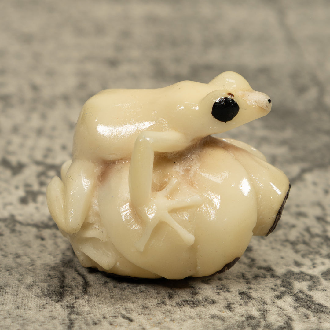 White Natural Frog Tagua Carving