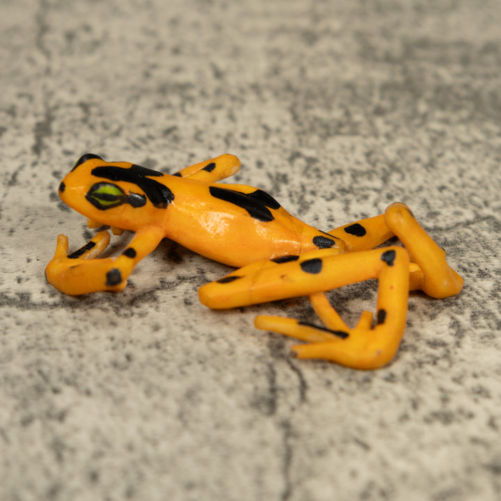 Free-Standing Golden Frog Tagua Carving