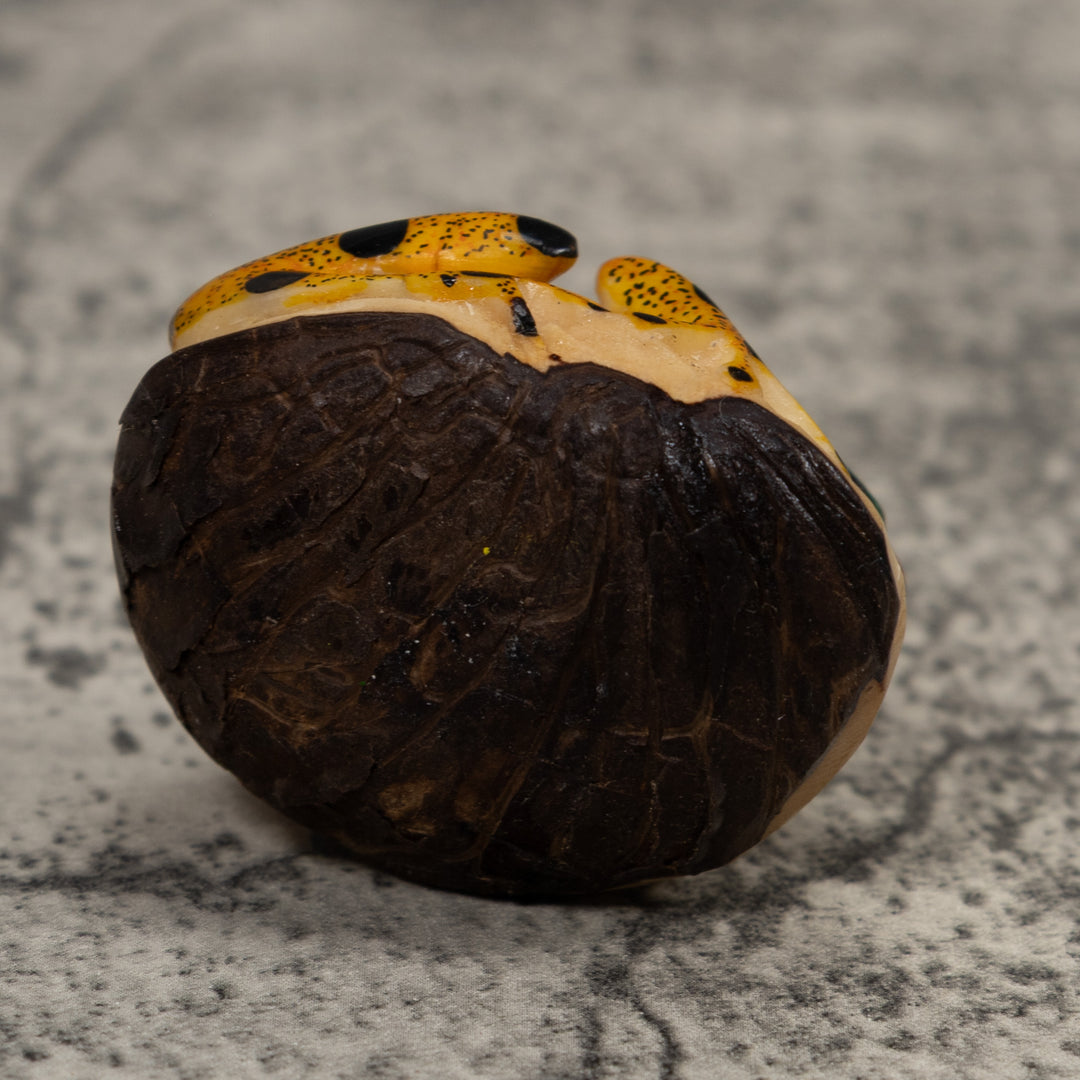 Poison Dart Frog Tagua Carving