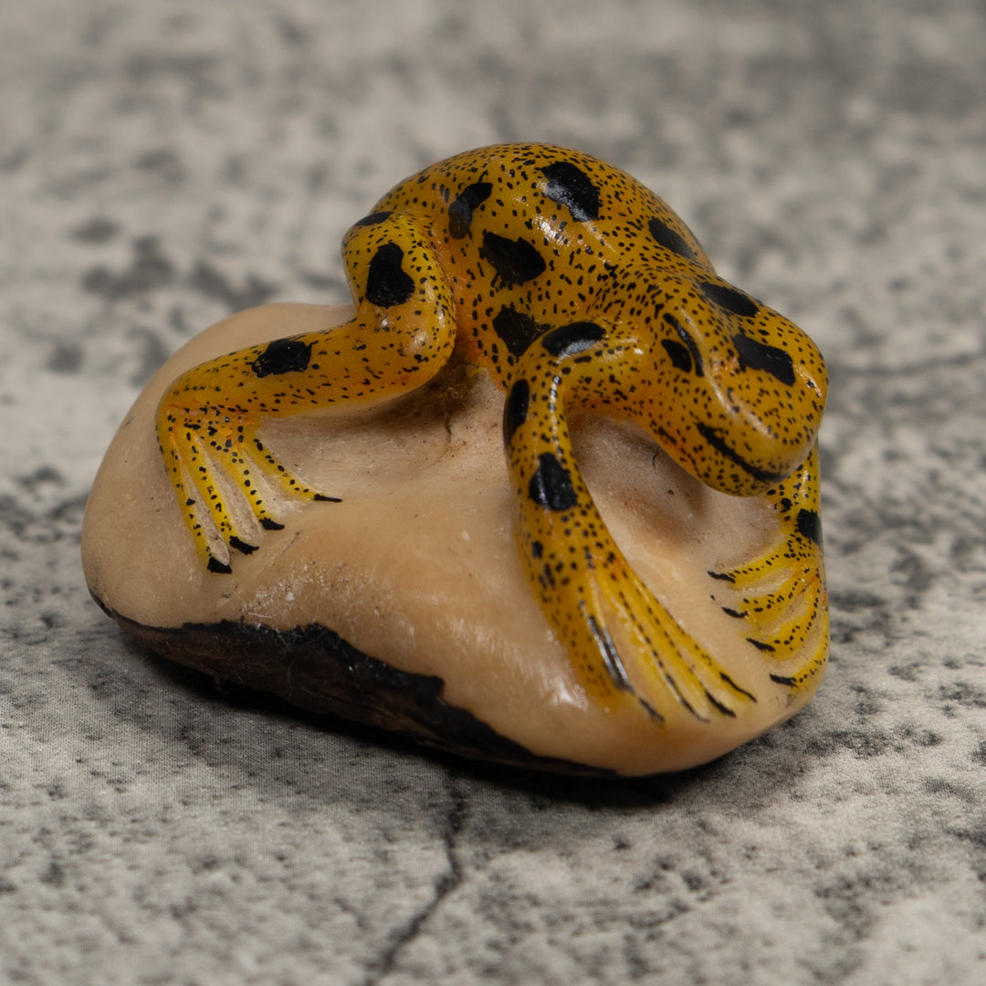Vintage Golden Frog Tagua Carving