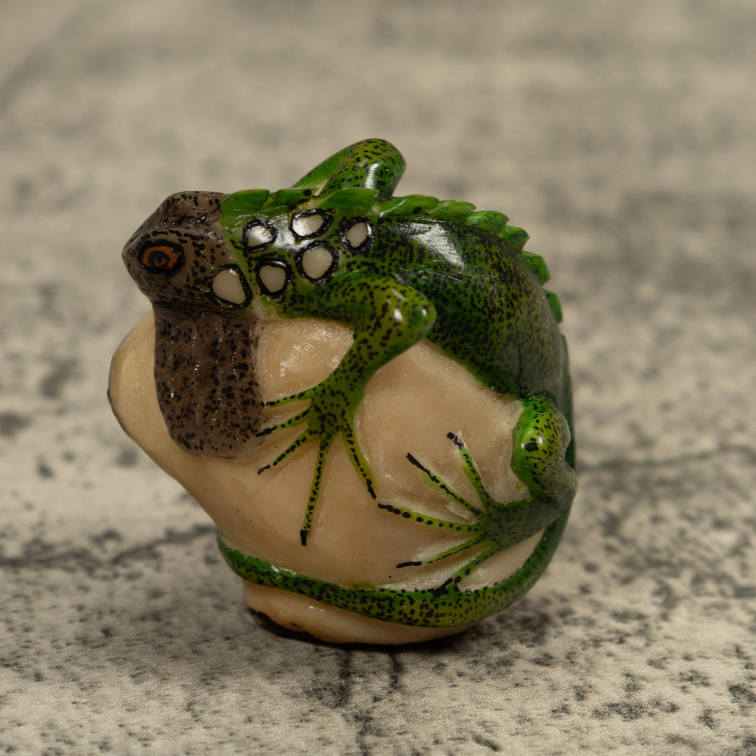 Iguana Lizard Reptile Tagua Carving