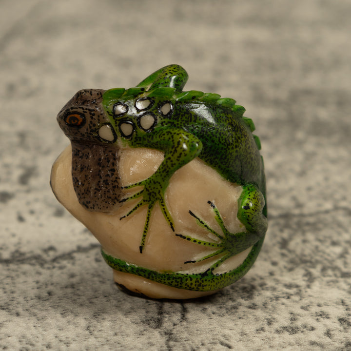 Iguana Lizard Reptile Tagua Carving