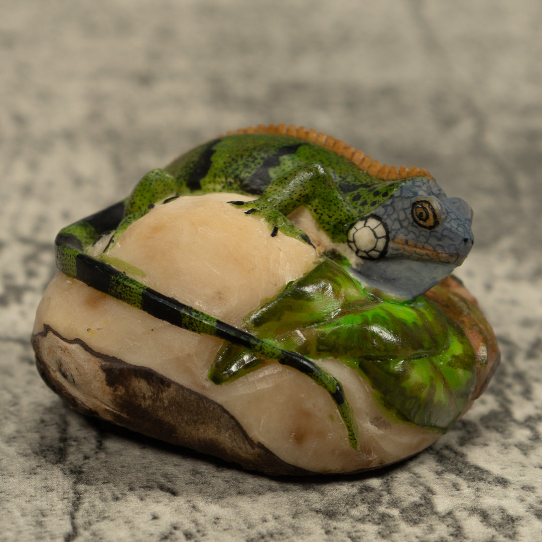 Iguana Lizard Reptile Tagua Carving