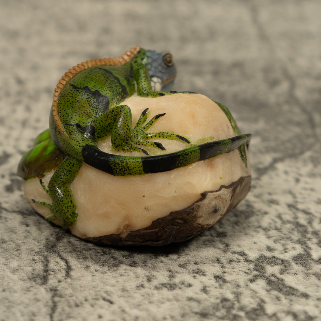 Iguana Lizard Reptile Tagua Carving